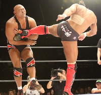 wrestling